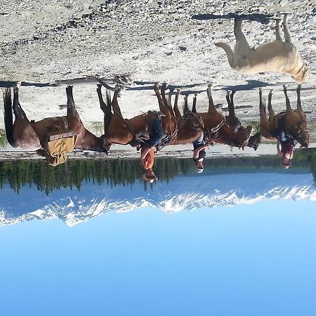 Bear Corner Adventures Bed & Bale Hotel Golden Esterno foto
