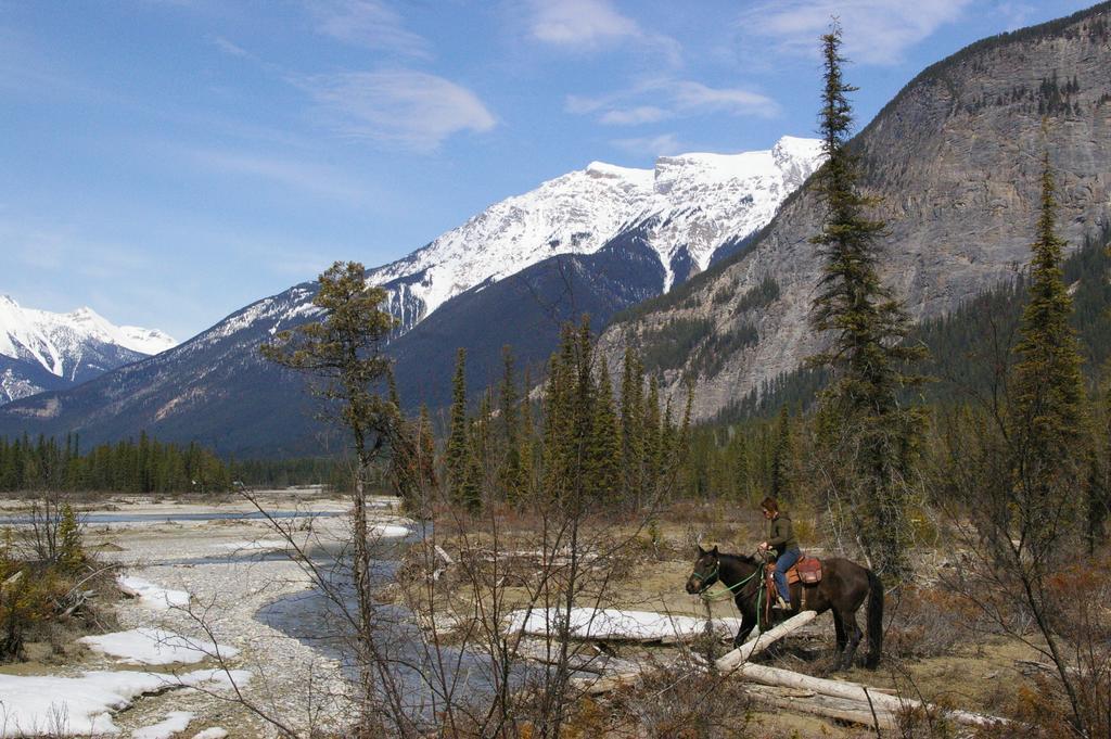 Bear Corner Adventures Bed & Bale Hotel Golden Esterno foto