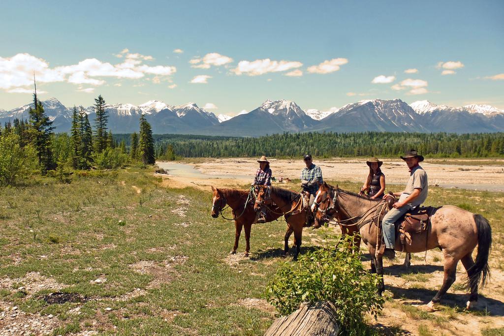 Bear Corner Adventures Bed & Bale Hotel Golden Esterno foto