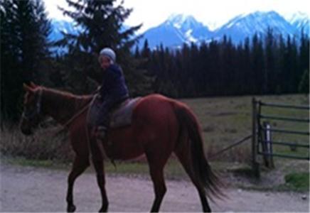 Bear Corner Adventures Bed & Bale Hotel Golden Esterno foto