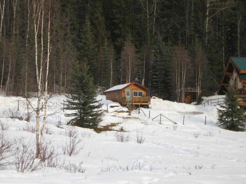 Bear Corner Adventures Bed & Bale Hotel Golden Esterno foto