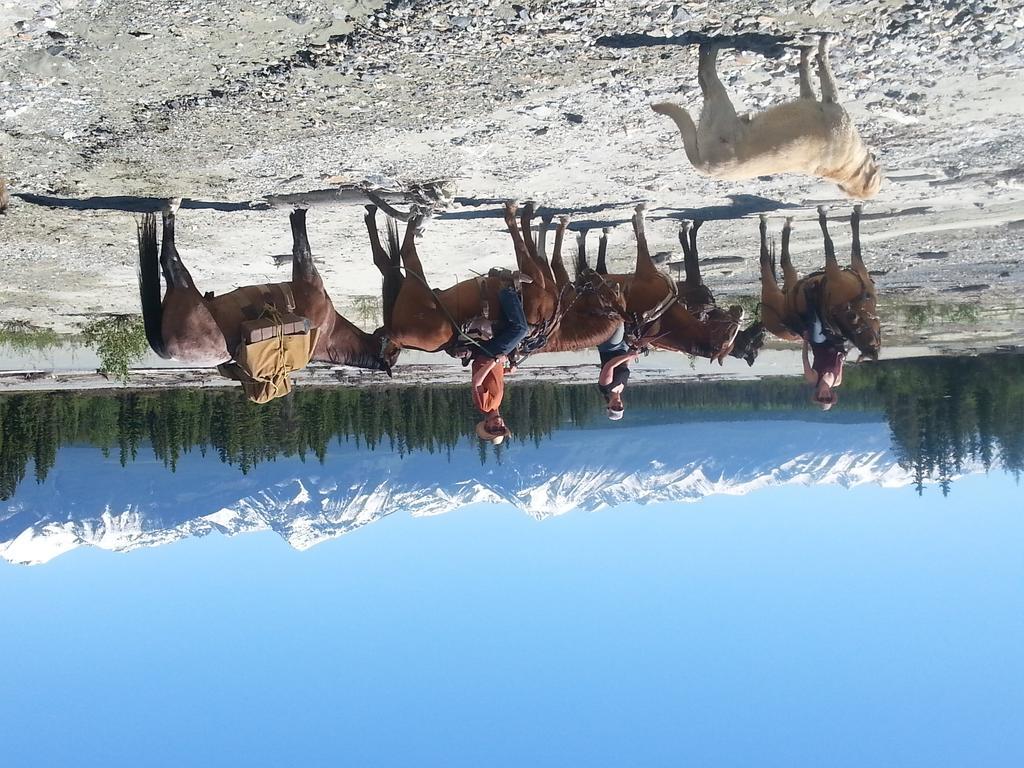 Bear Corner Adventures Bed & Bale Hotel Golden Esterno foto